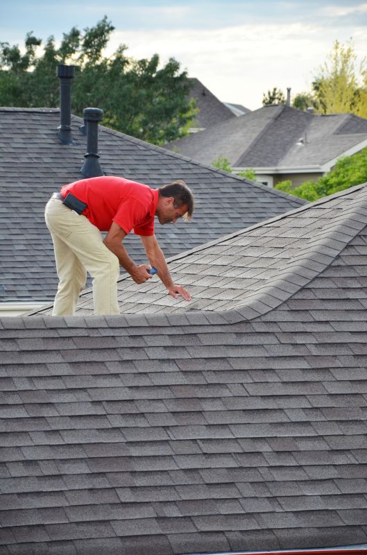 Spring Roofing Maintenance
